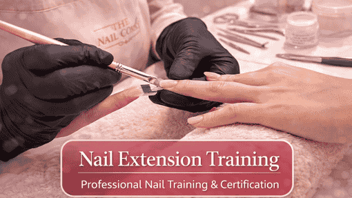 Learn from Experts